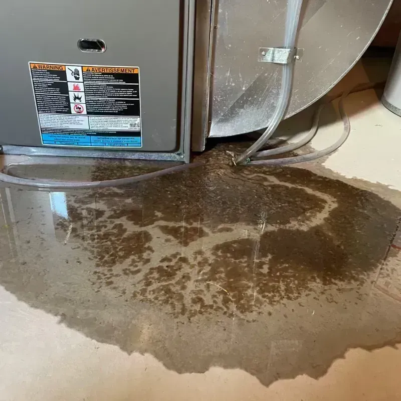 Appliance Leak Cleanup in Audubon County, IA